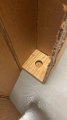 BOX for 1 Brushs 03